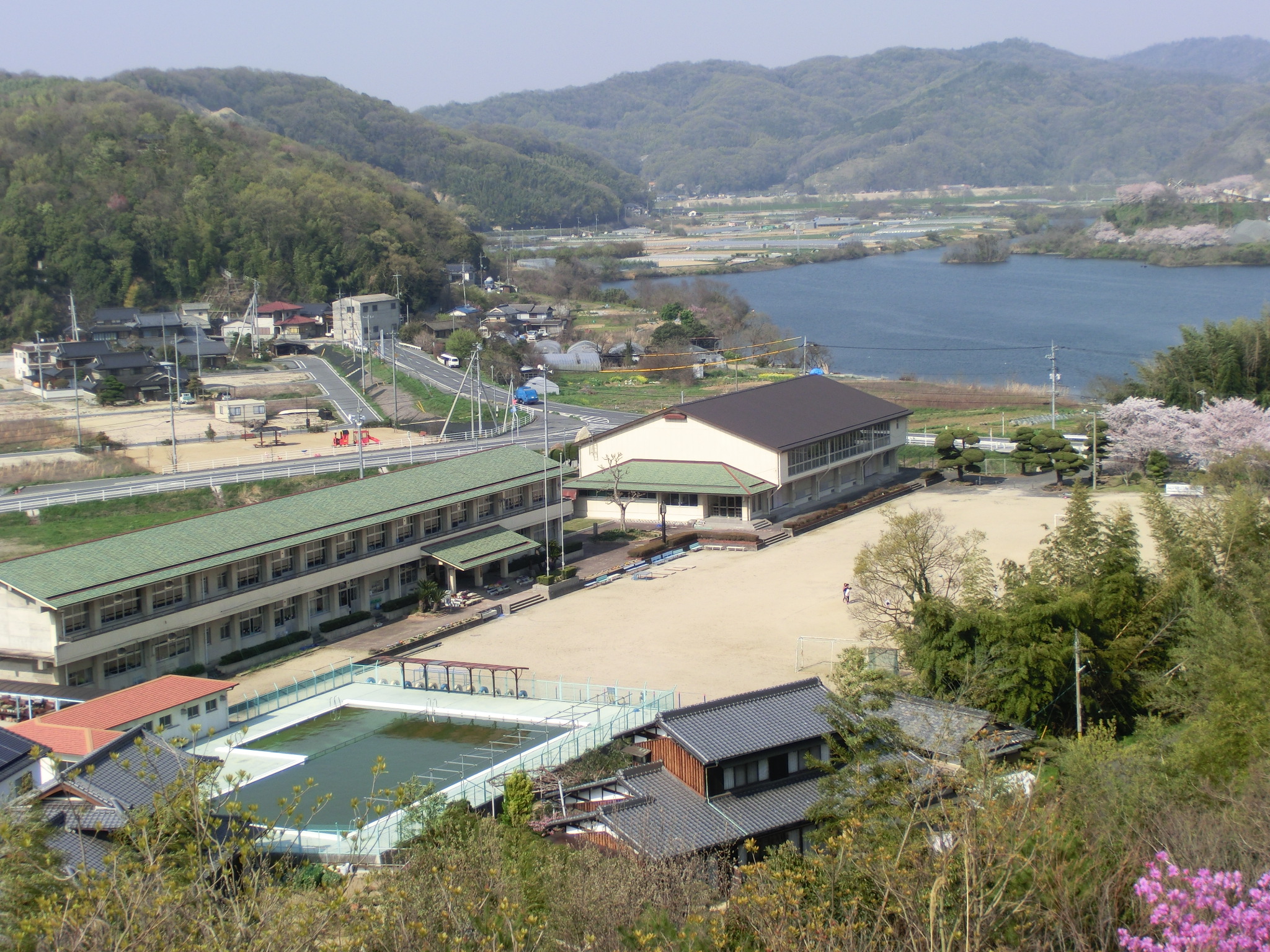 学校の全景