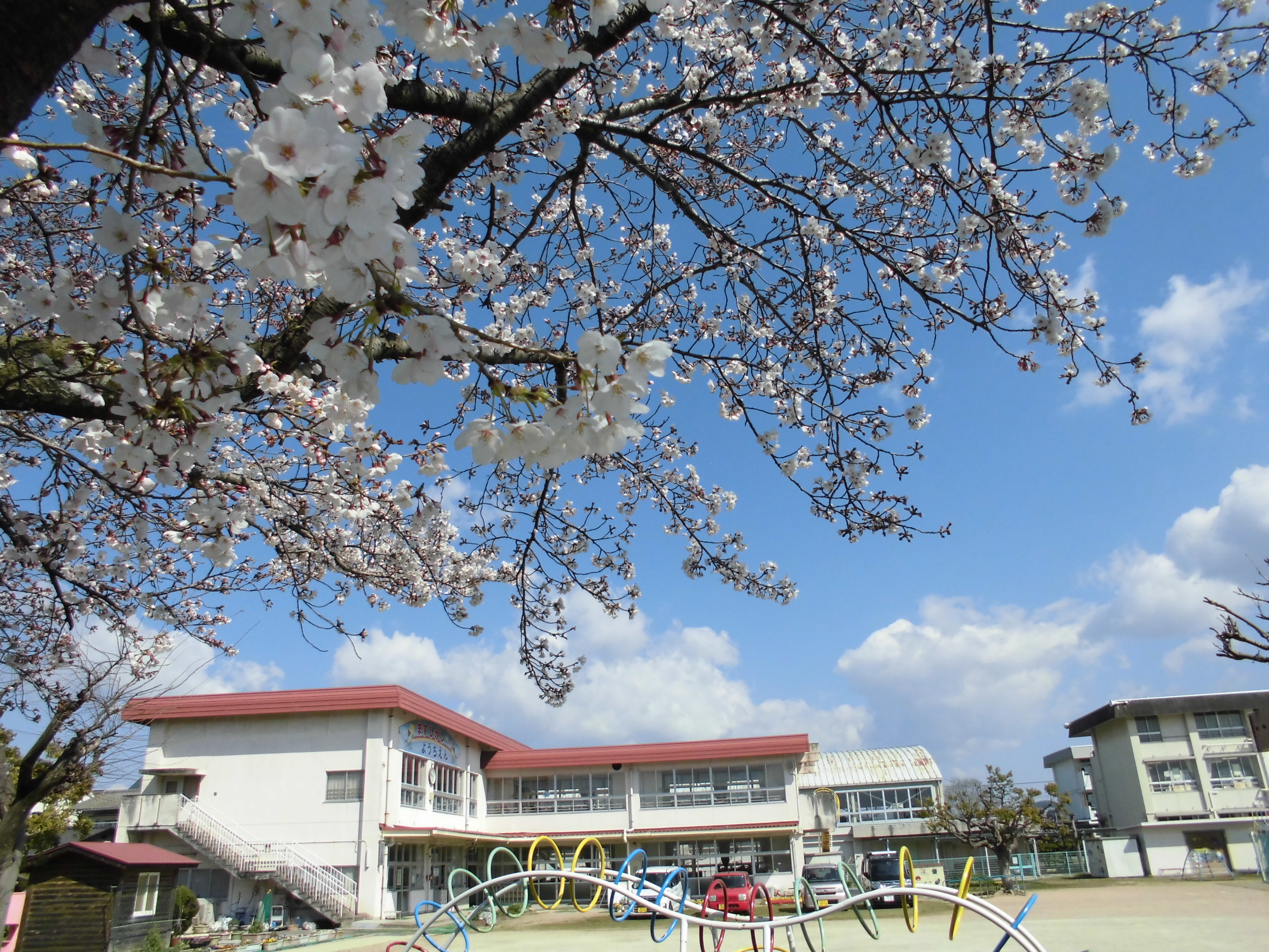 万寿東幼稚園_園庭2