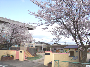 老松幼稚園の写真です