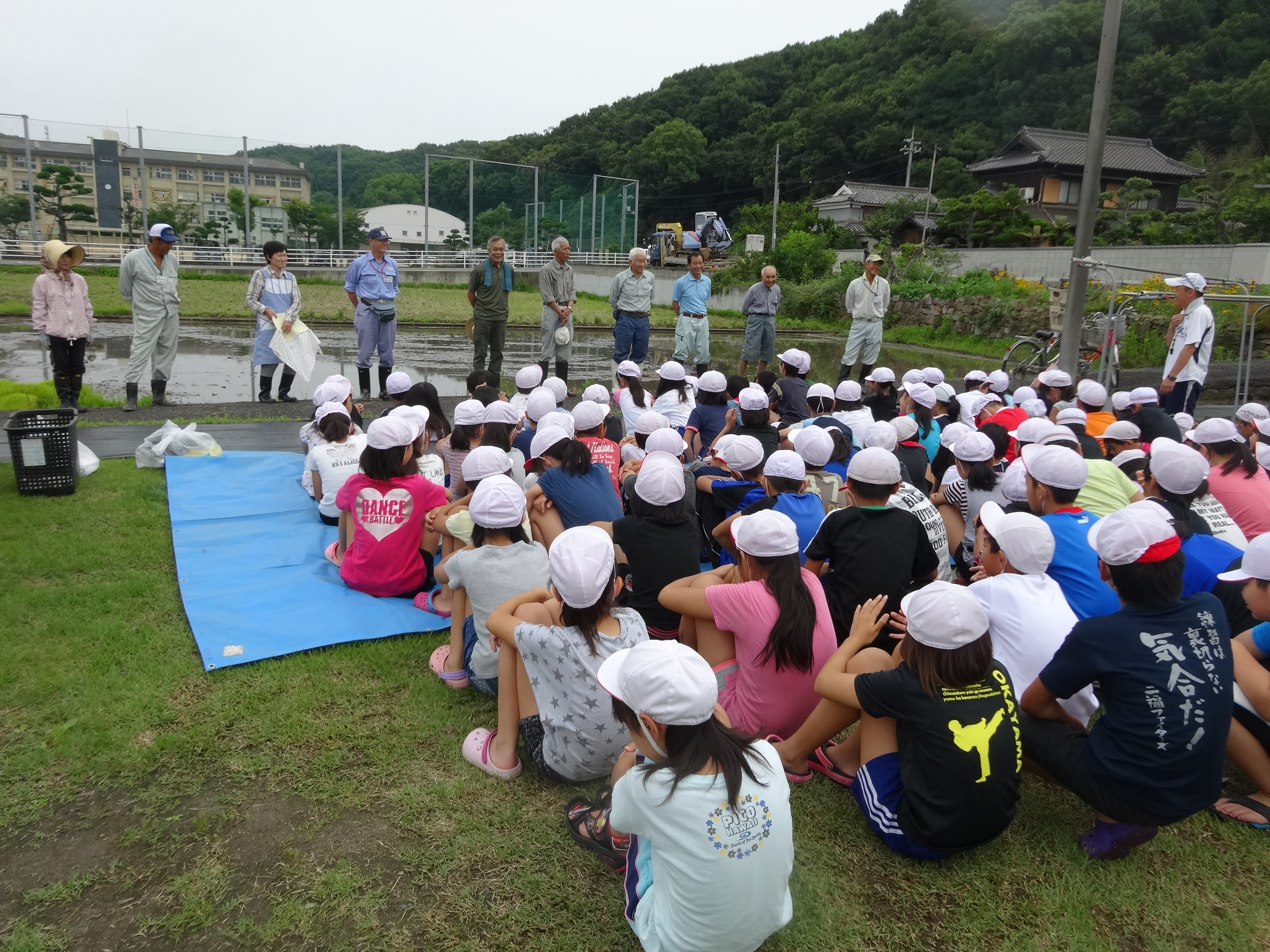 田植え