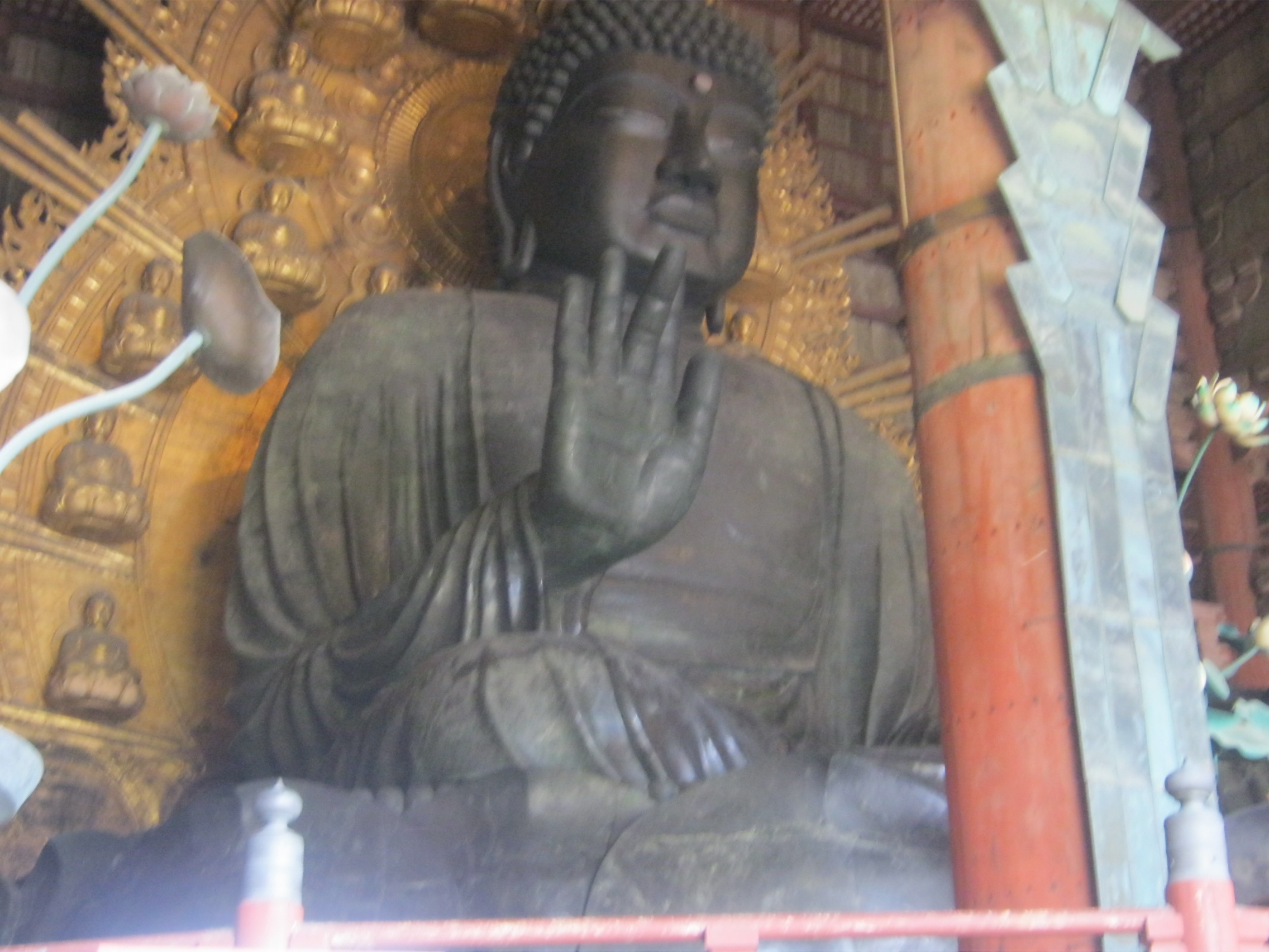 東大寺の大仏を楽しみに向かいました。大きな大仏に圧倒されました。
