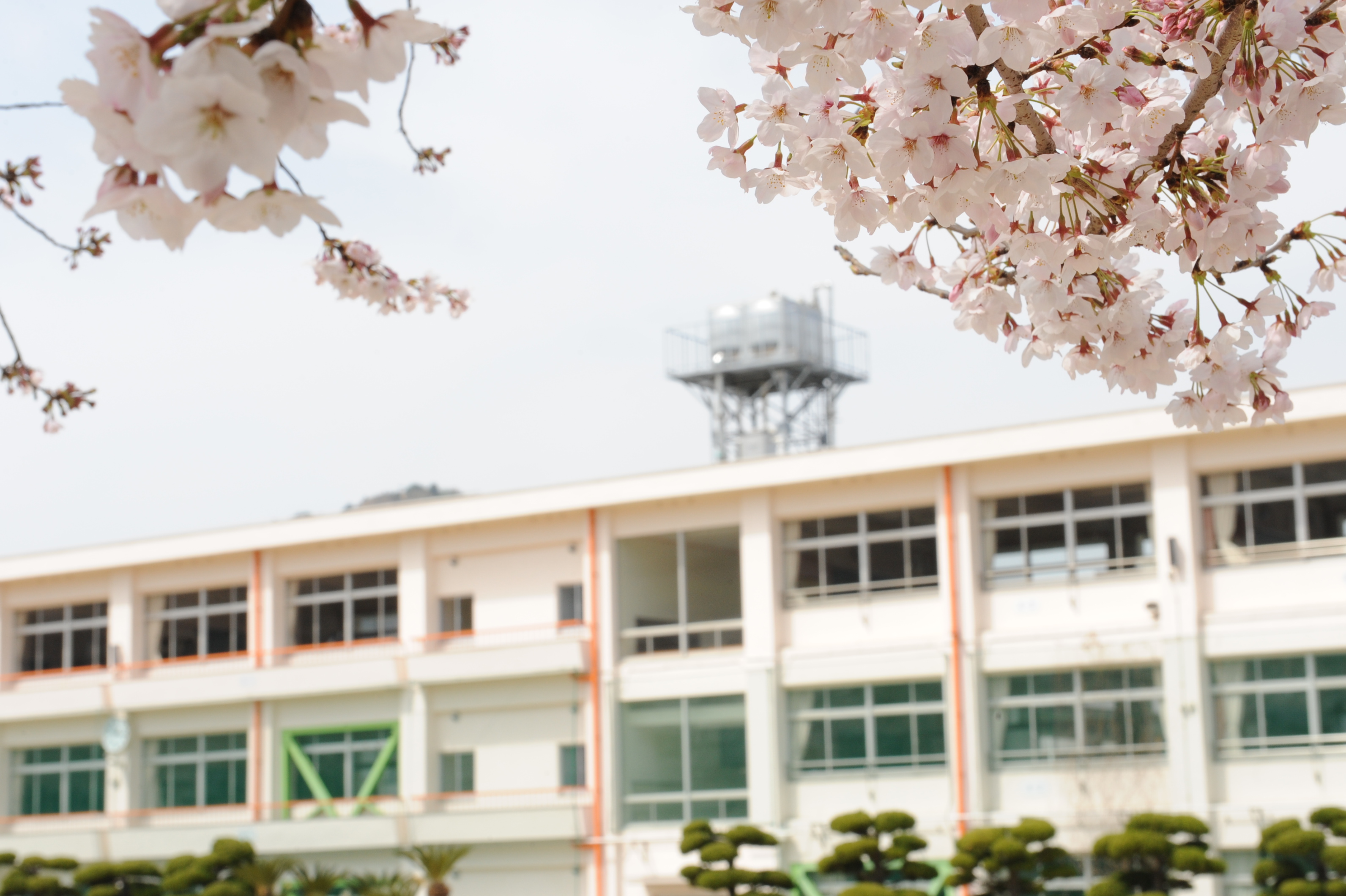 赤崎小学校