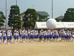 運動会全体練習の様子です。