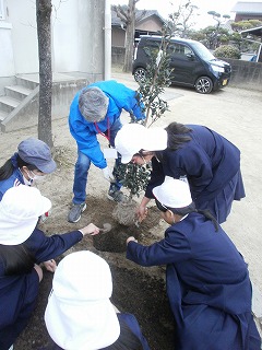 栽培委員会植樹の様子です。