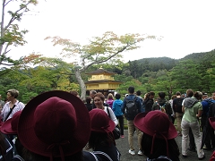 修学旅行の様子です。