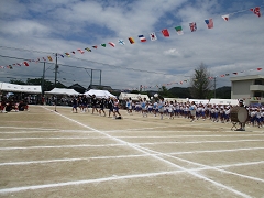 運動会の様子です