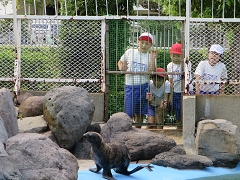 海の学習の様子です。