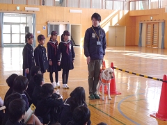 盲導犬体験教室の様子です。