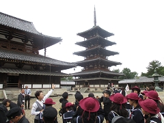 修学旅行の様子です。