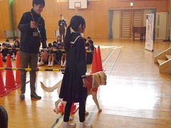 盲導犬体験教室の様子です。