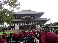 修学旅行の様子です。