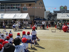 運動会の様子です