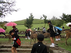 修学旅行の様子です。