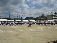 運動会の様子です