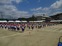 運動会の様子です