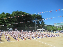 H29年度運動会の様子です。