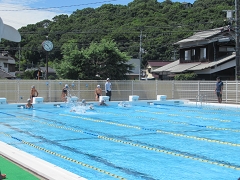 校内水泳記録会の様子です。