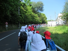 なかよし遠足の様子です。