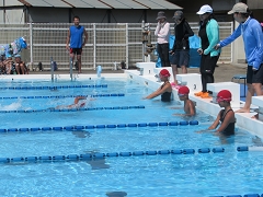 校内水泳記録会の様子です。