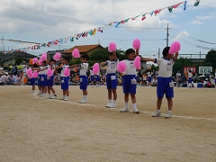 H29年度運動会の様子です。