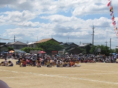 H29年度運動会の様子です。
