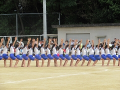 H29年度運動会の様子です。