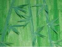 竹模様の壁紙
