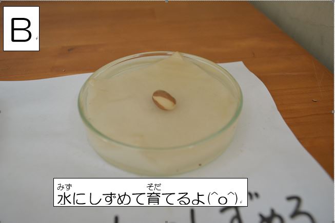 先生から