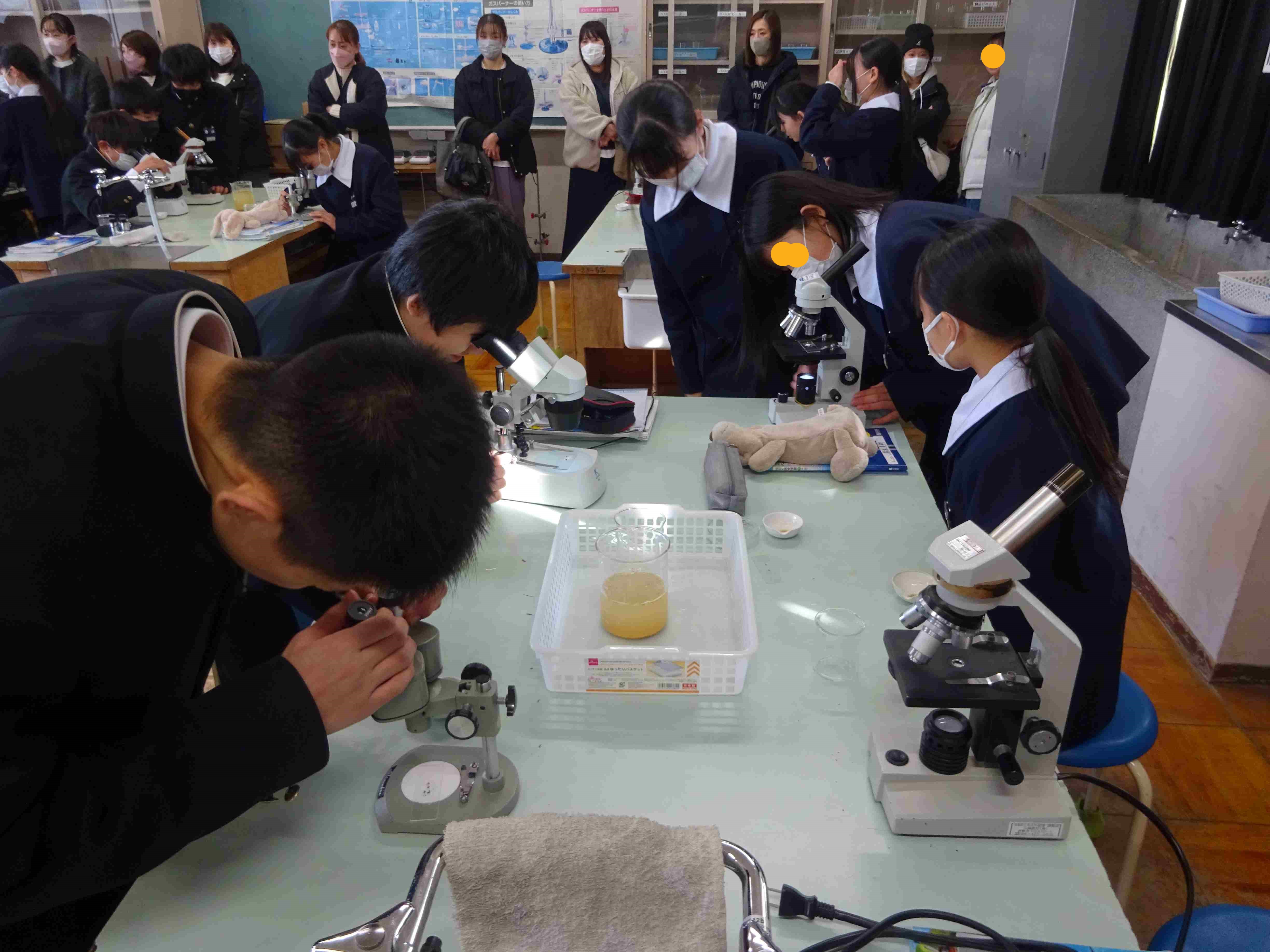 １年生３学期授業参観