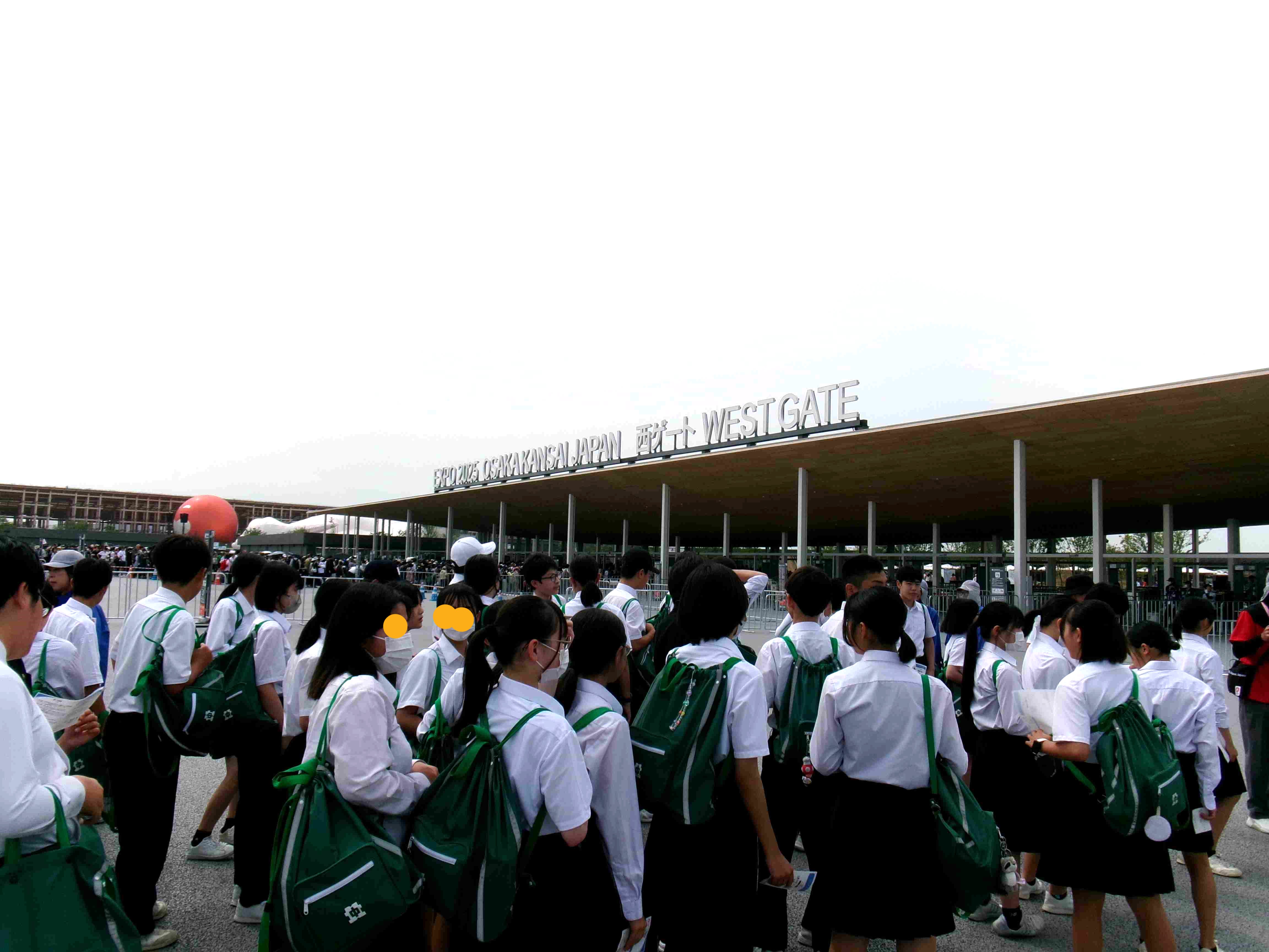２年生神戸震災学習