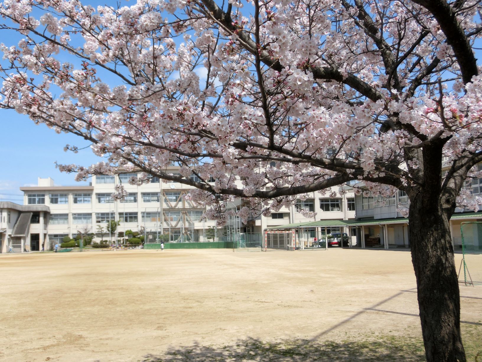 ４月１日の校庭の風景