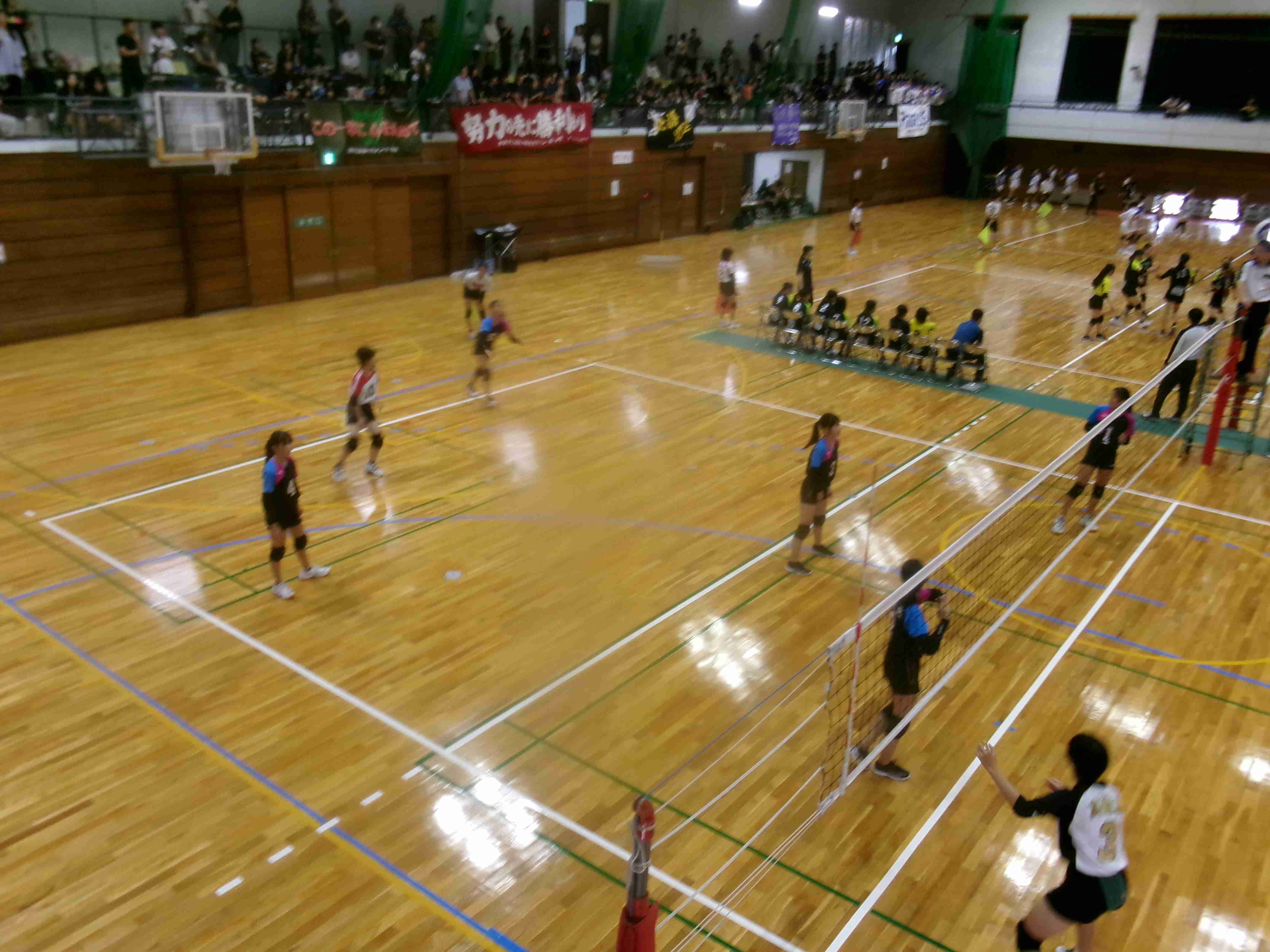 備南東地区新人体育大会