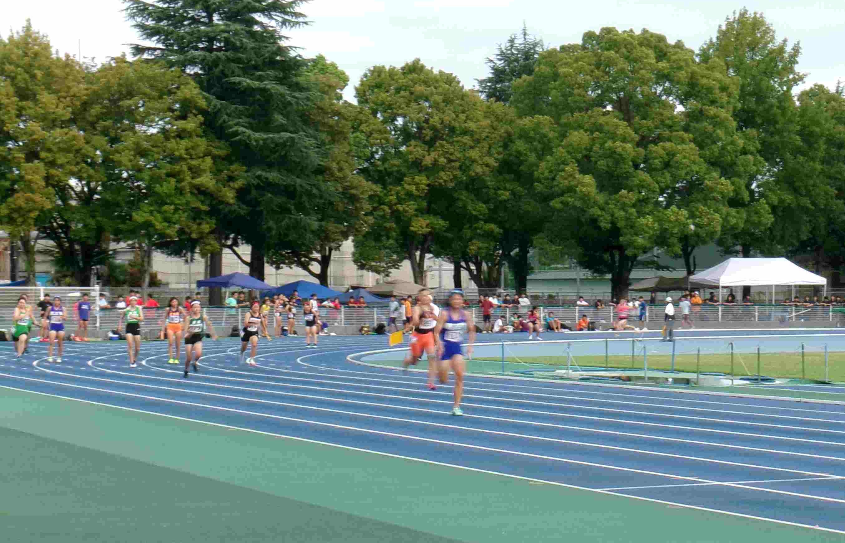 備南東地区新人体育大会