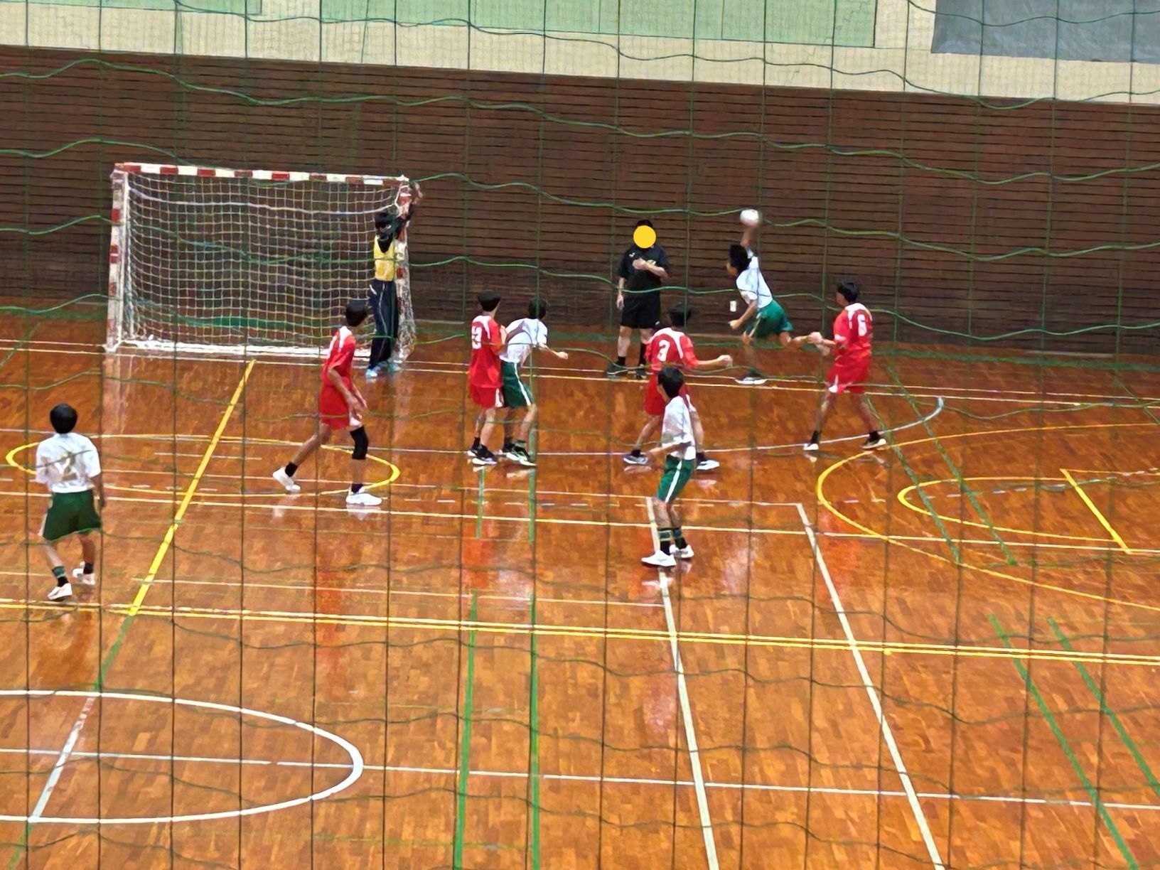 新人体育大会