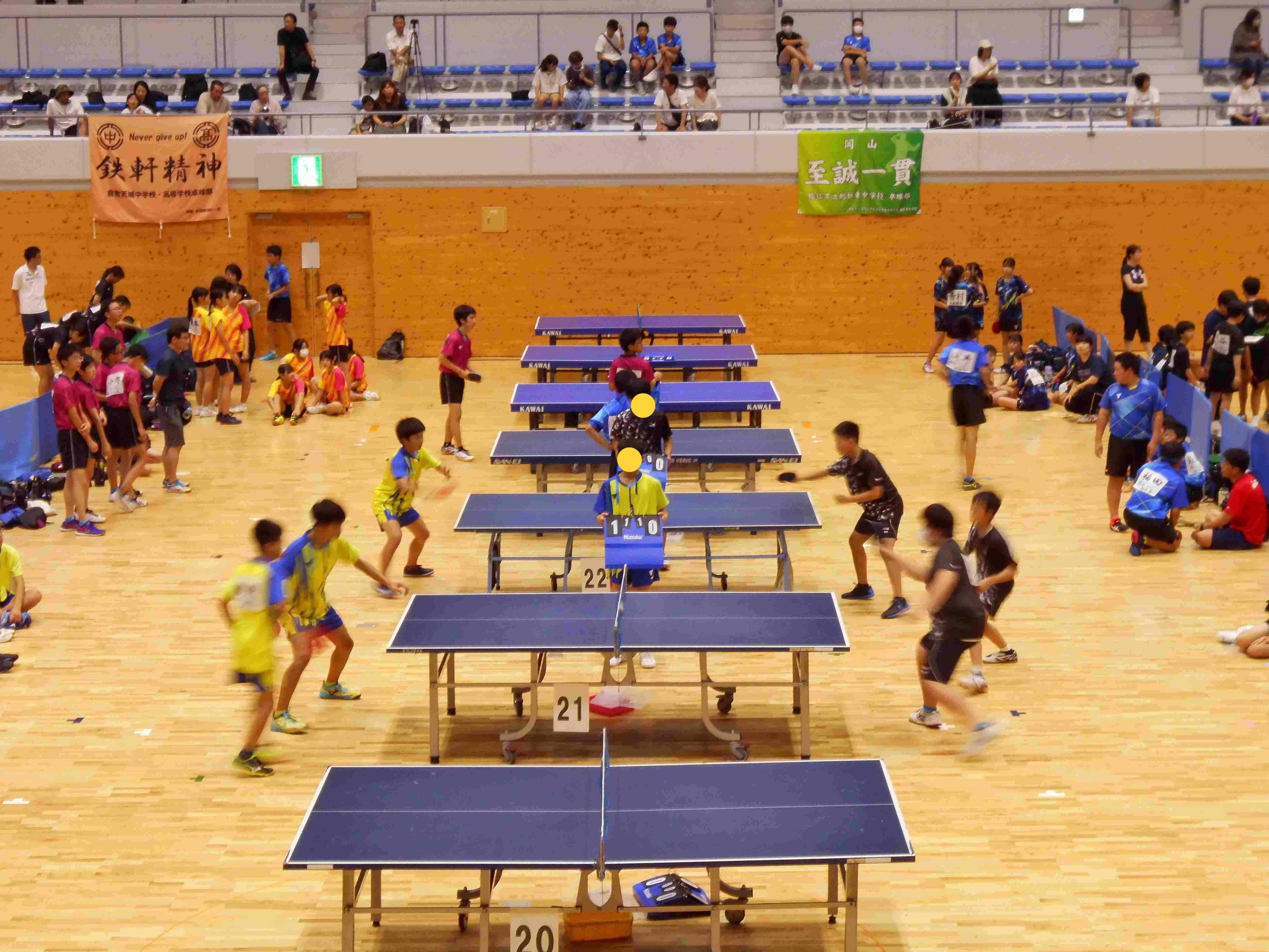 新人体育大会