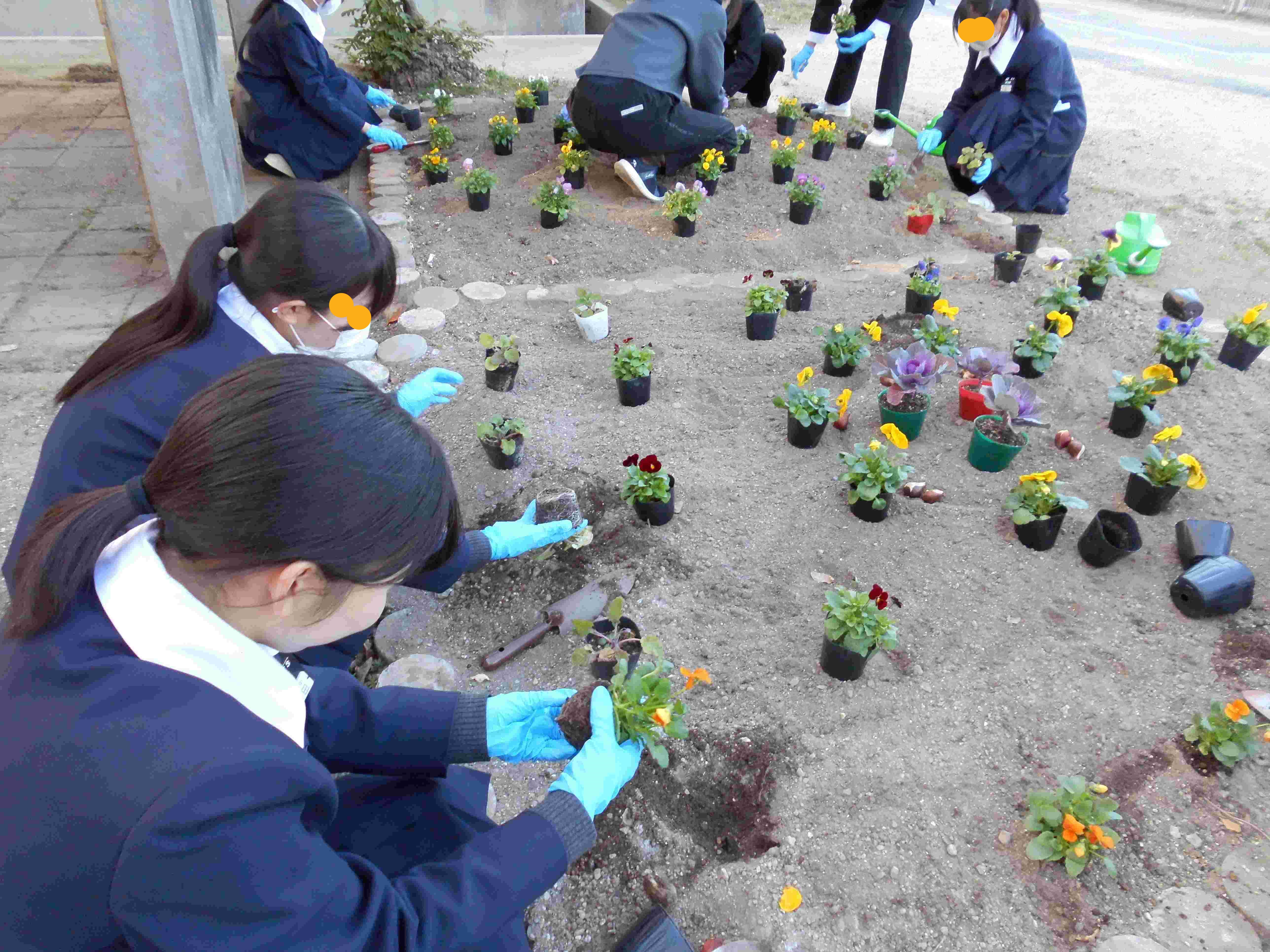 花植えボランティア