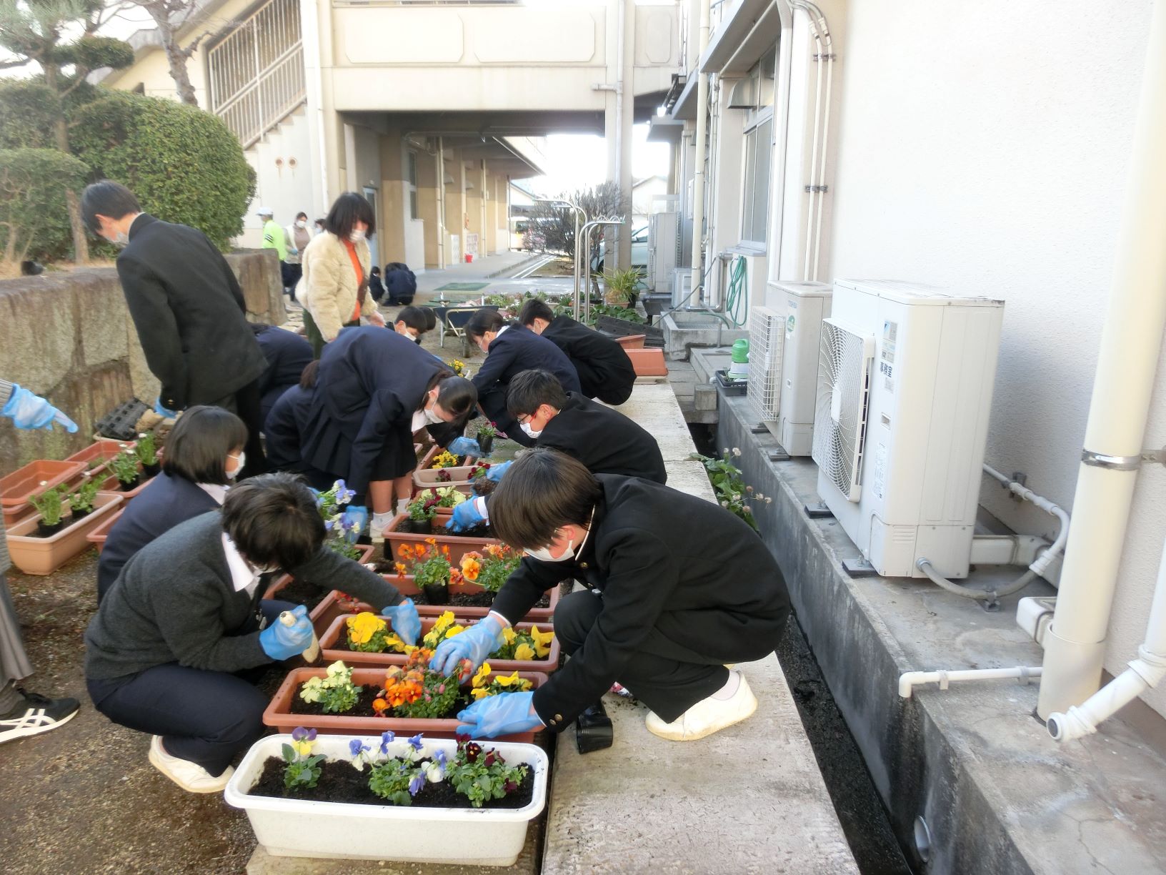 花植えボランティア