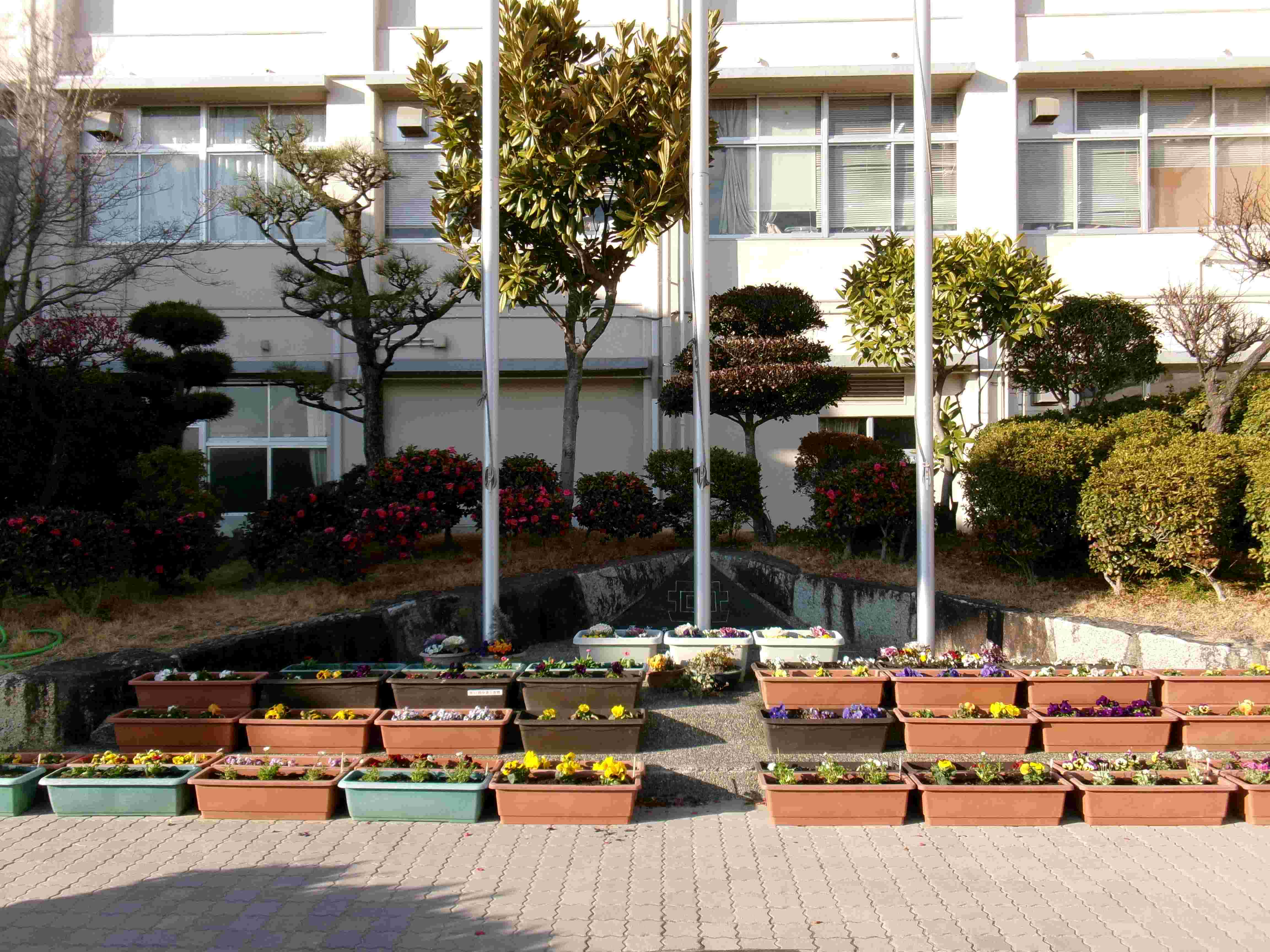 花植えボランティア