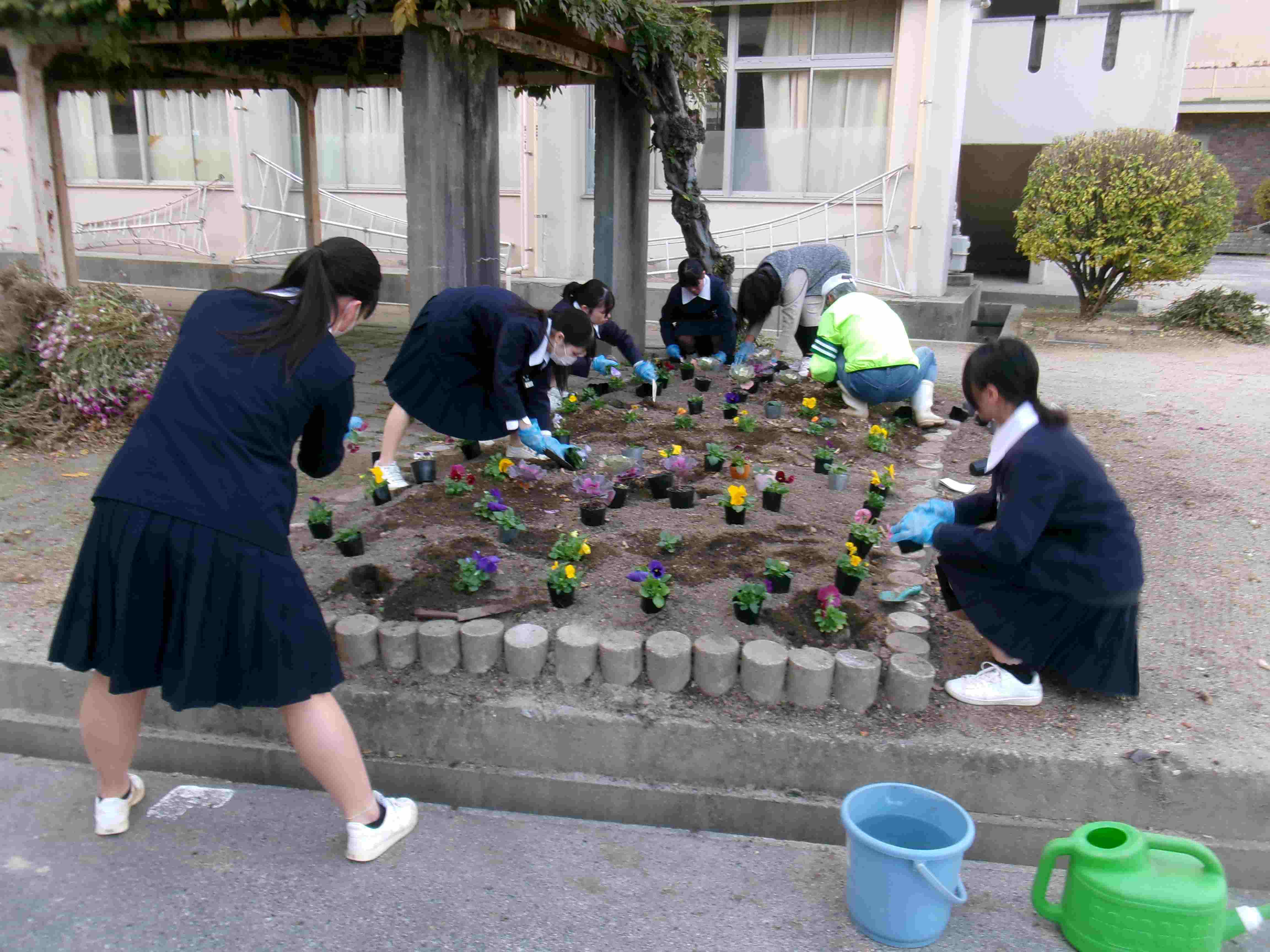 花植えボランティア