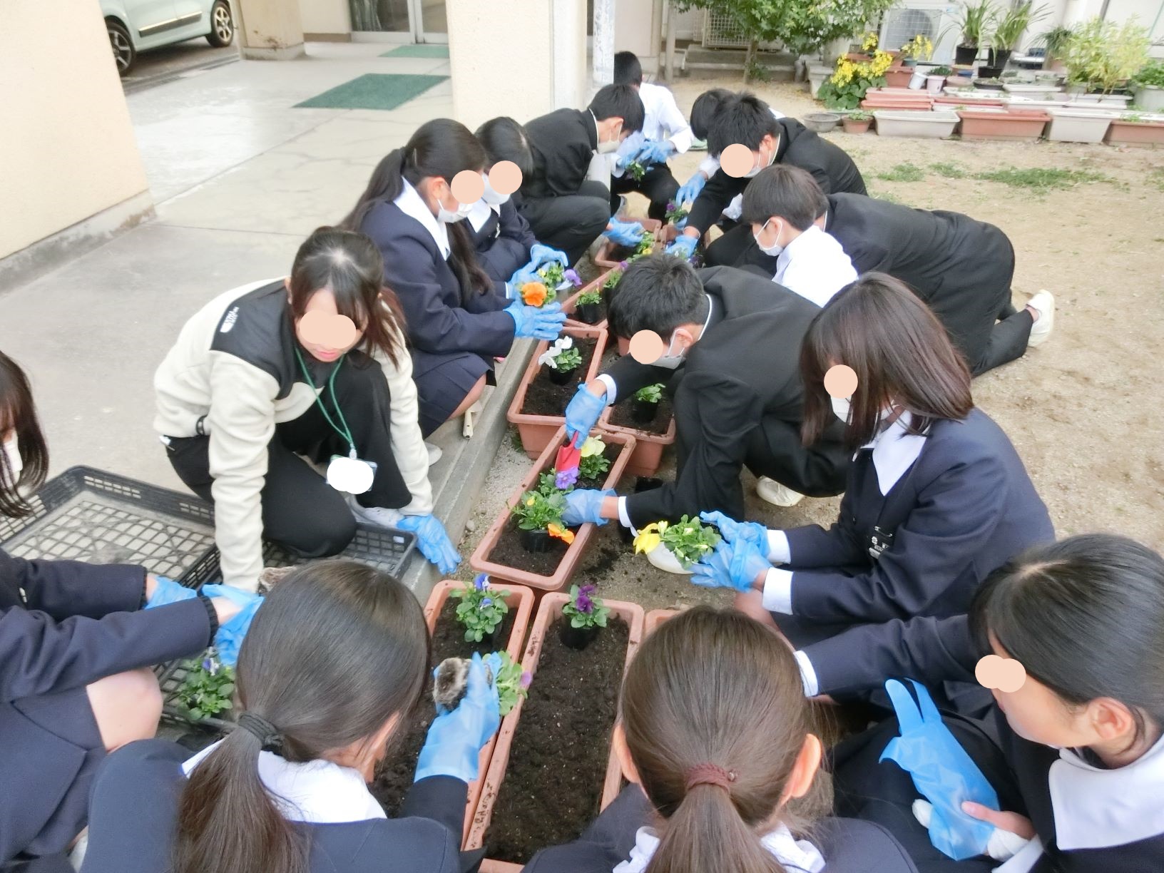 花植えボランティア