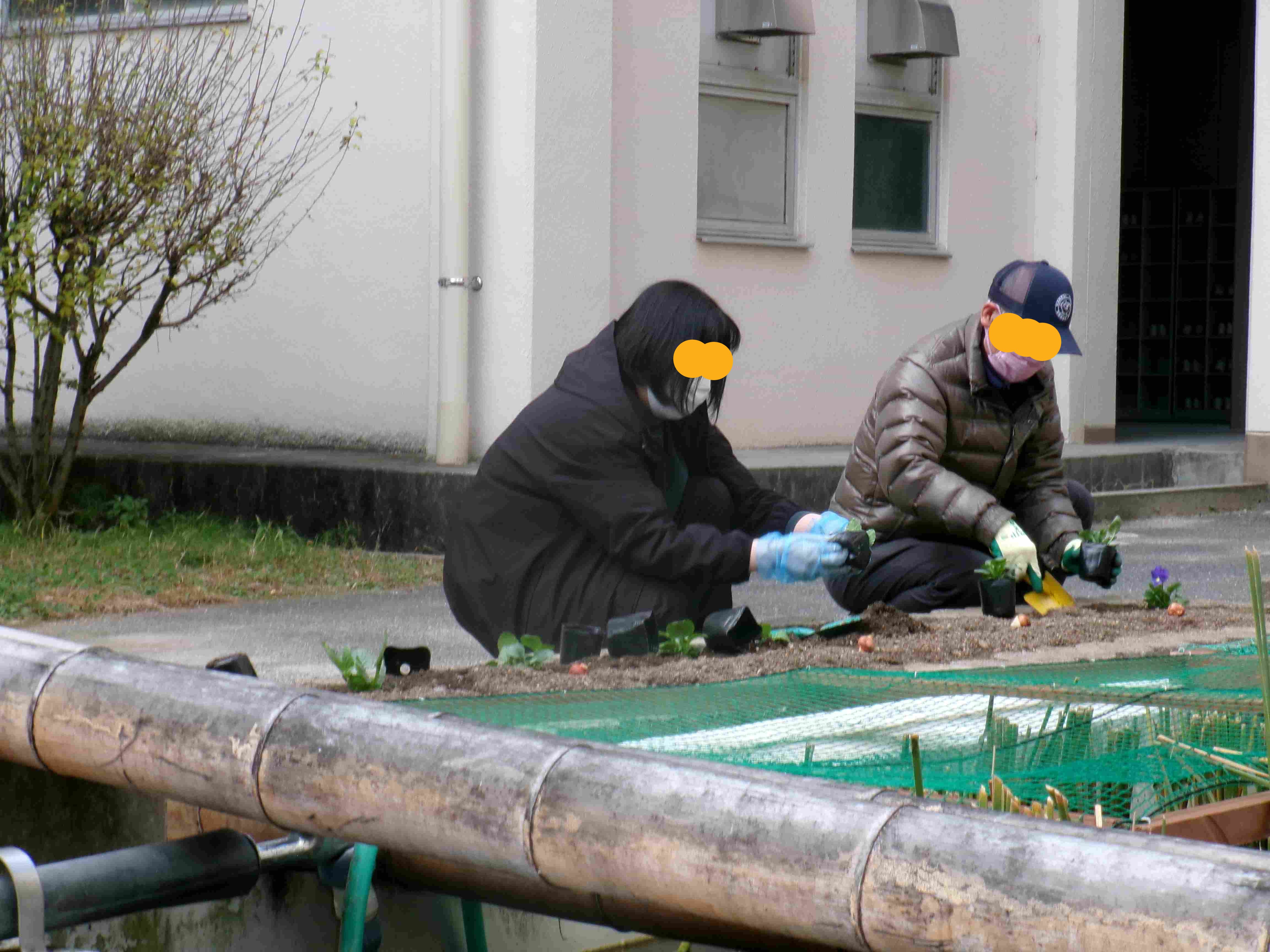 花植えボランティア