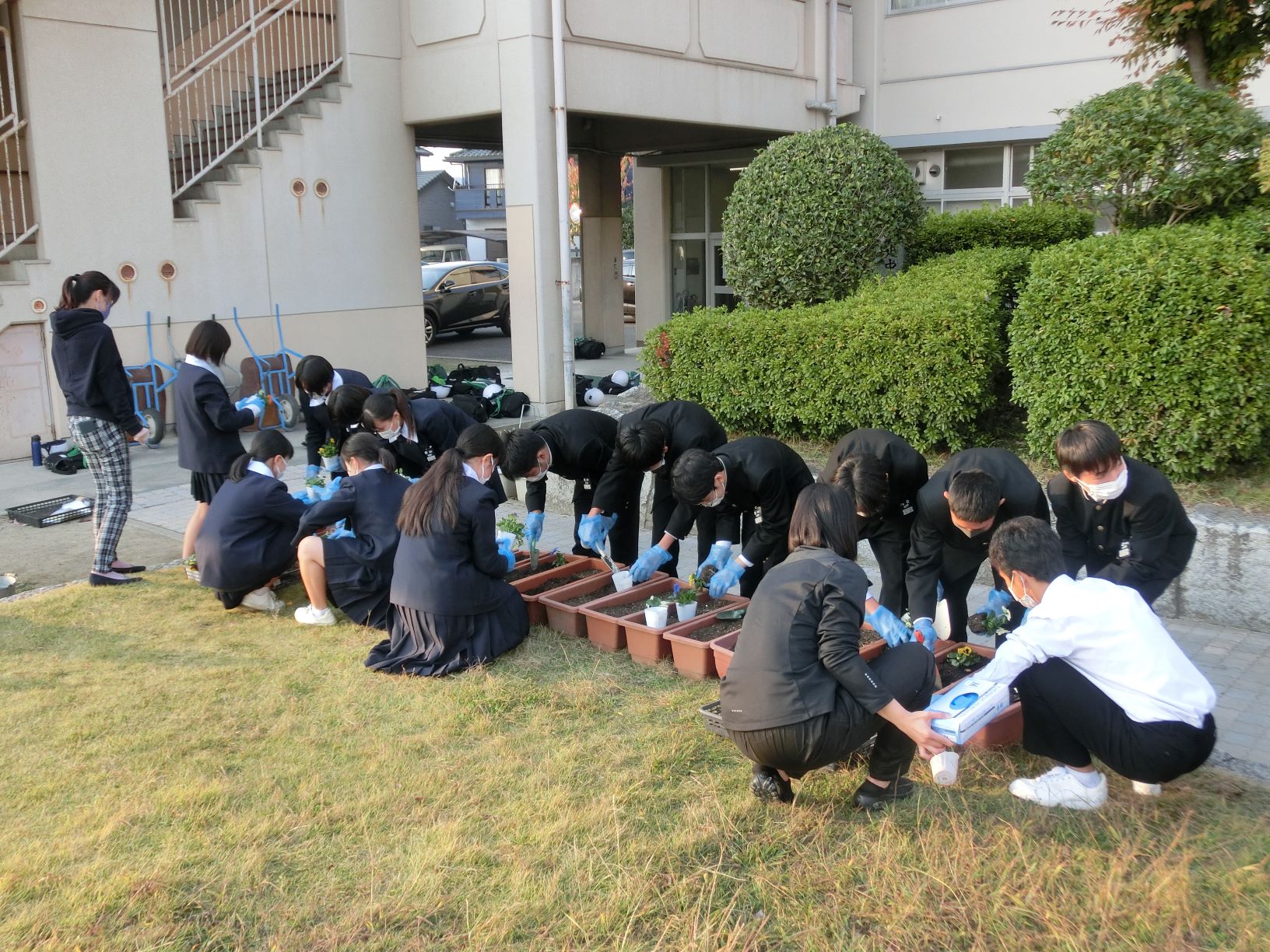 花植えボランティア