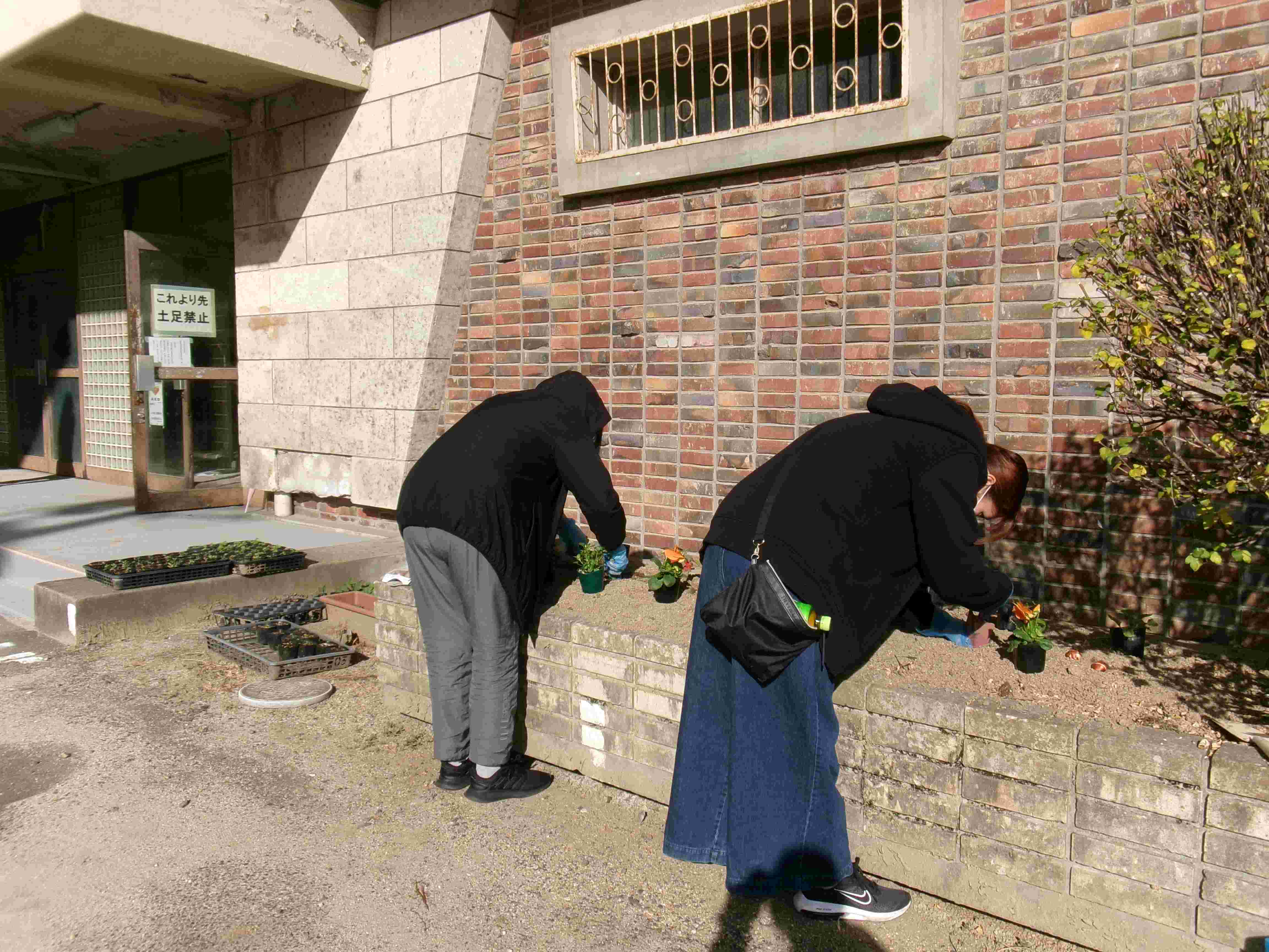 花植えボランティア