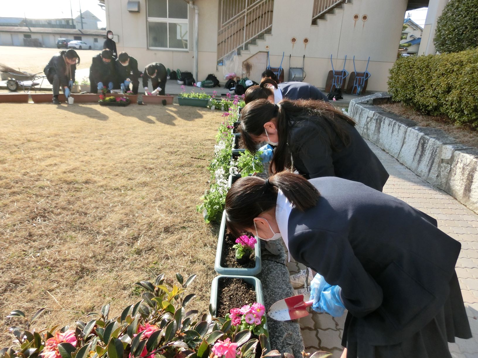 花植え