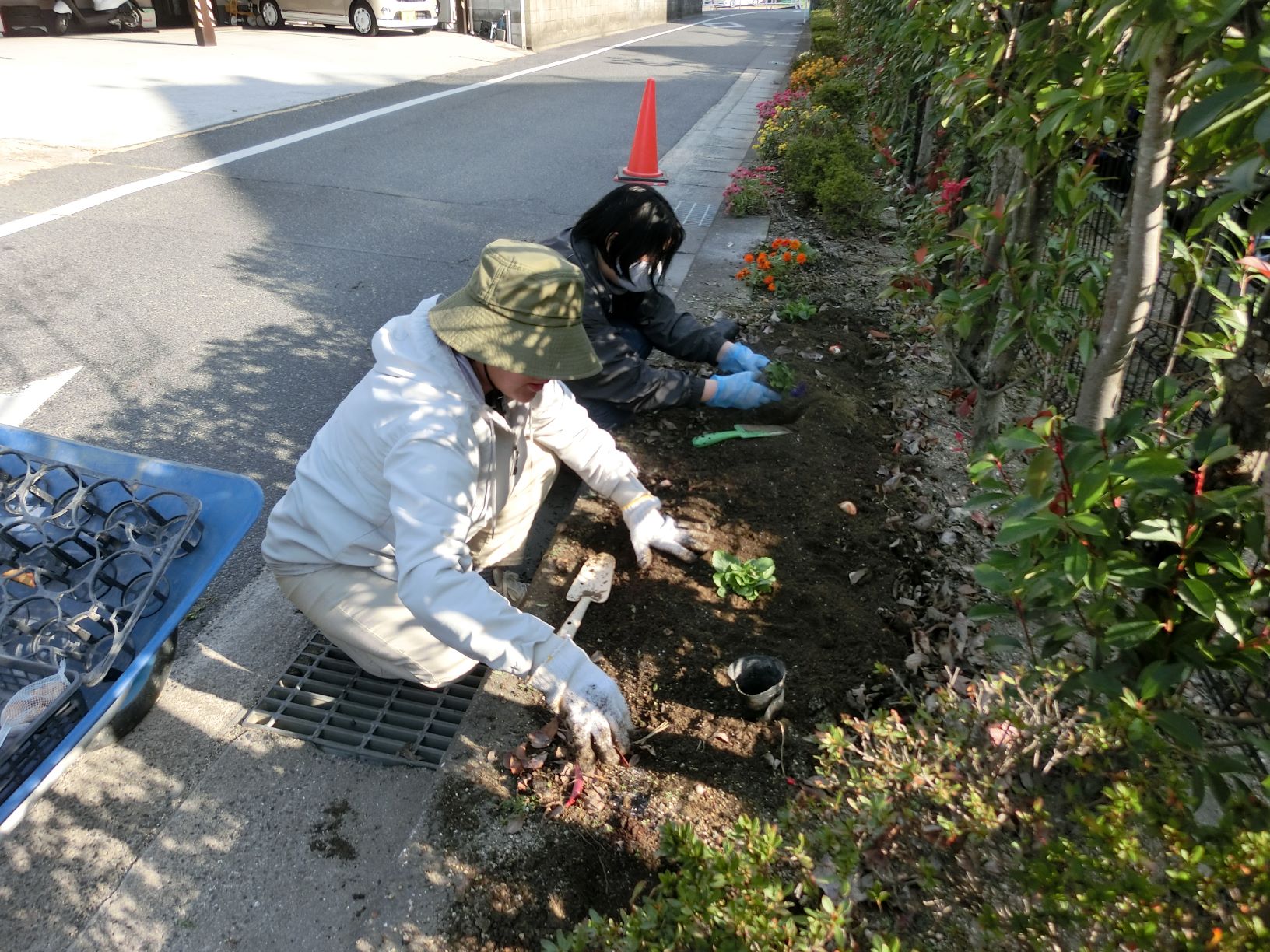 花植えボランティア