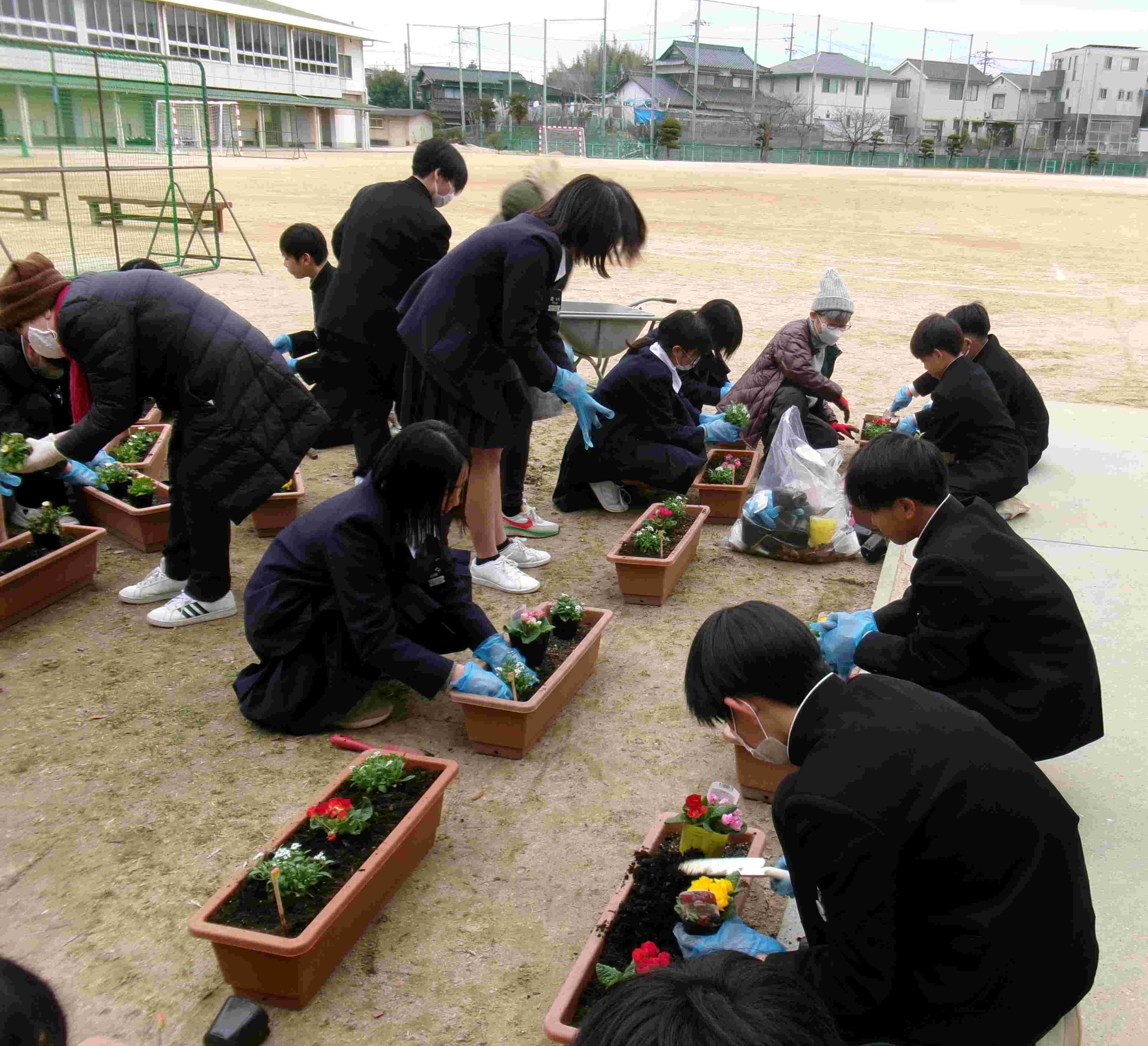 花植えボランティア