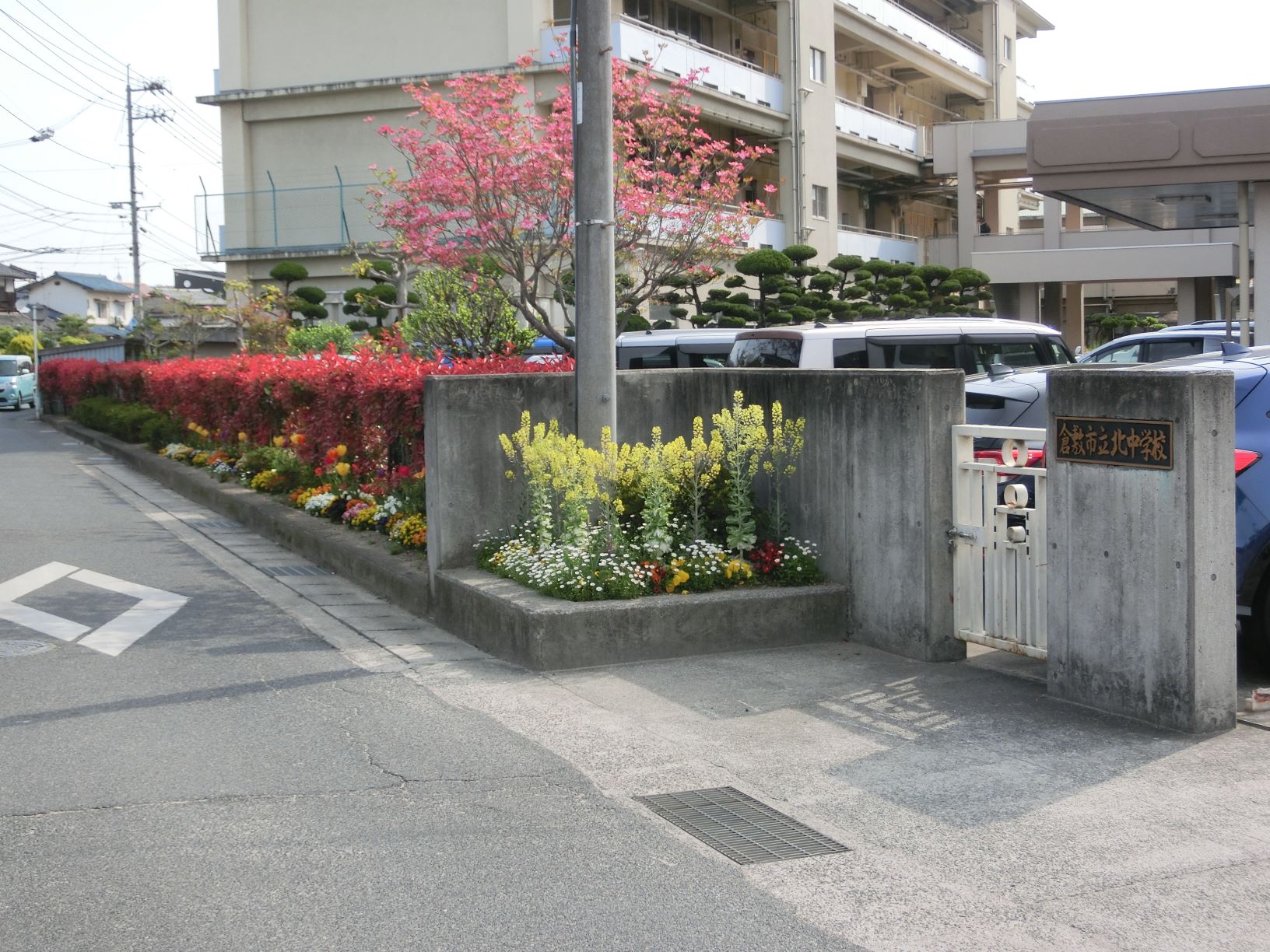 校門付近の花壇