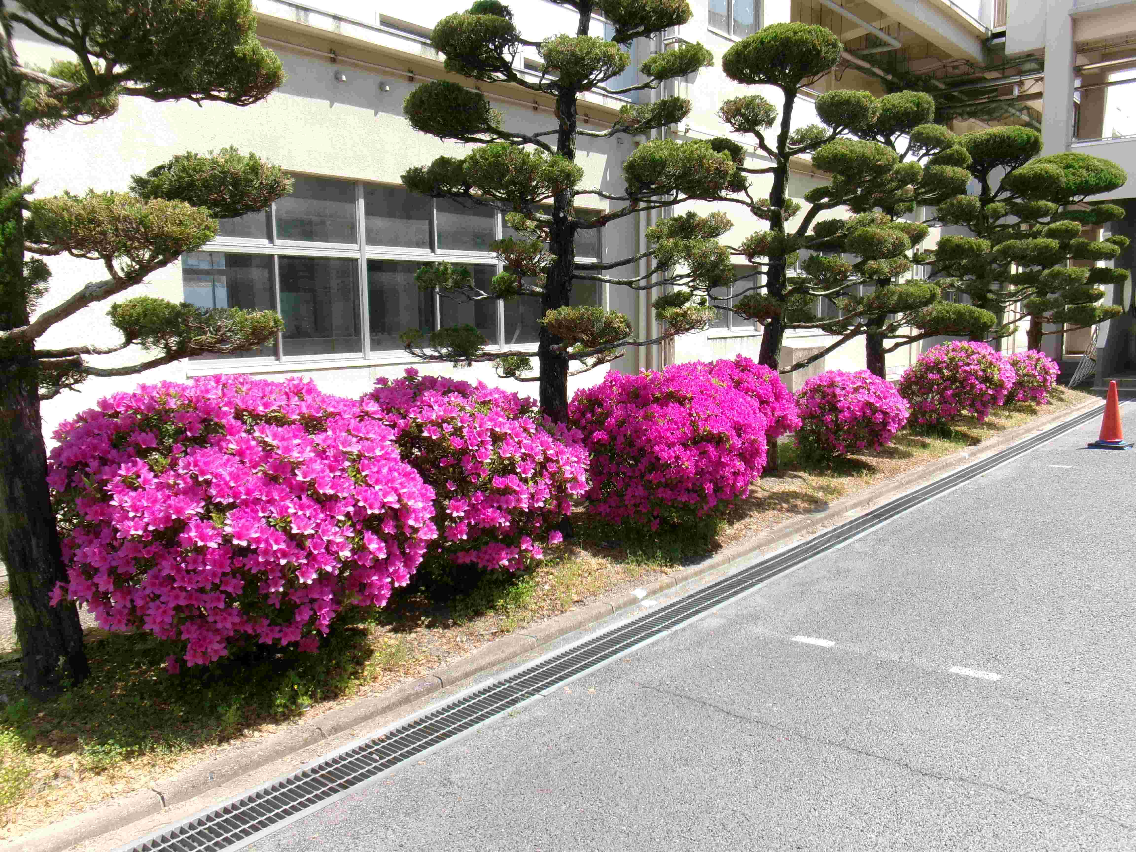 校内風景