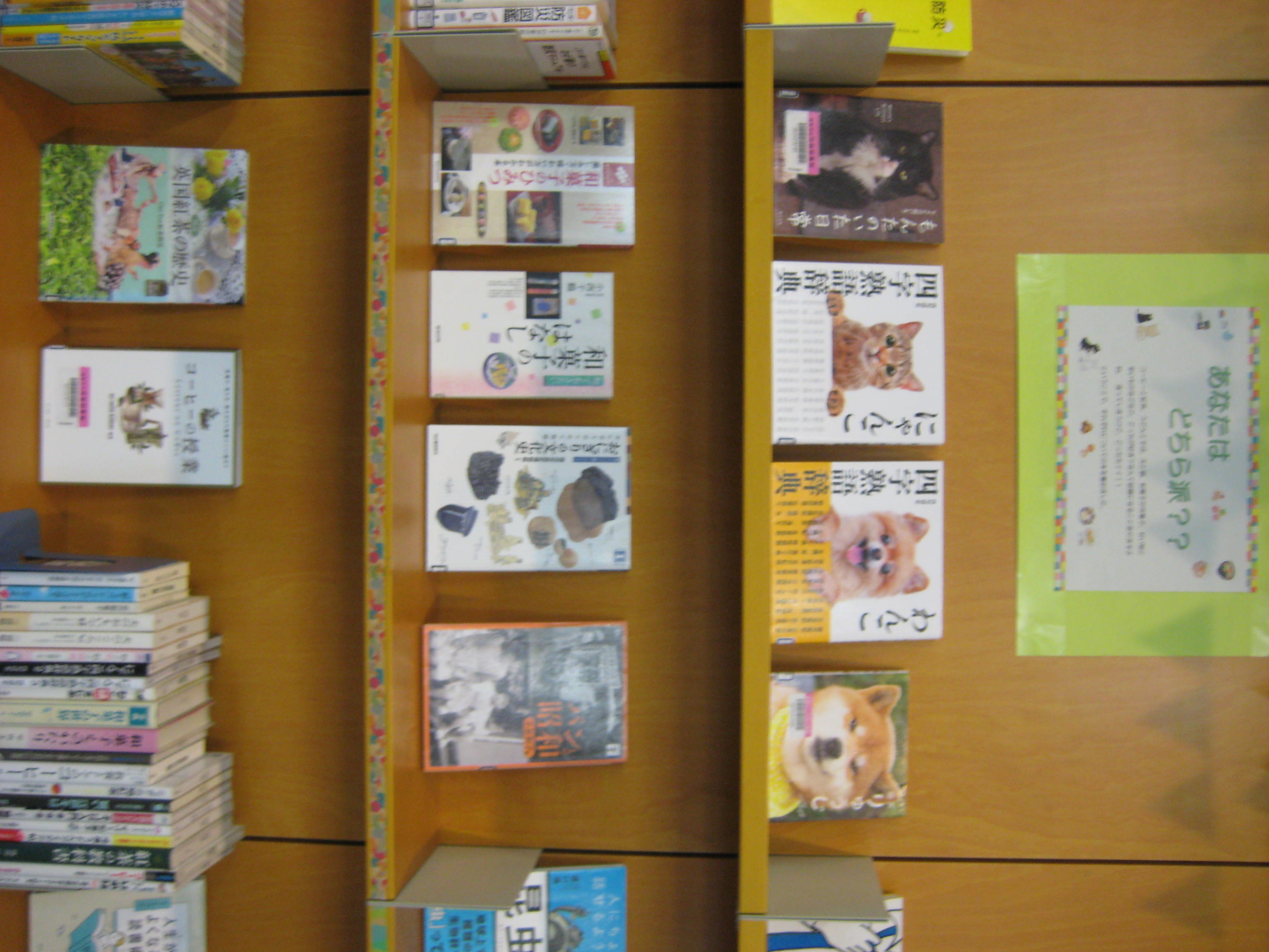 写真：一般室展示その４