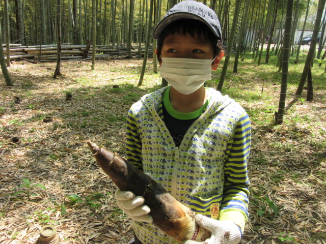 親子でたけのこ掘り体験をしよう☆の写真３